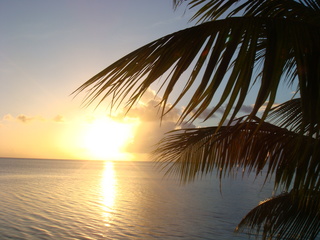 DSC08539.JPG